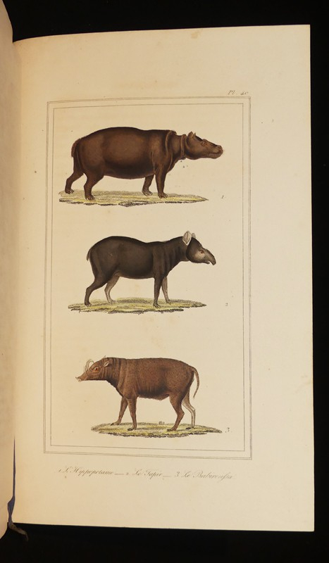 Oeuvres complètes de Buffon, 20 volumes