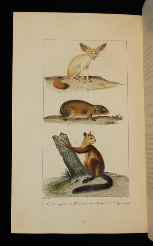 Oeuvres complètes de Buffon, 20 volumes