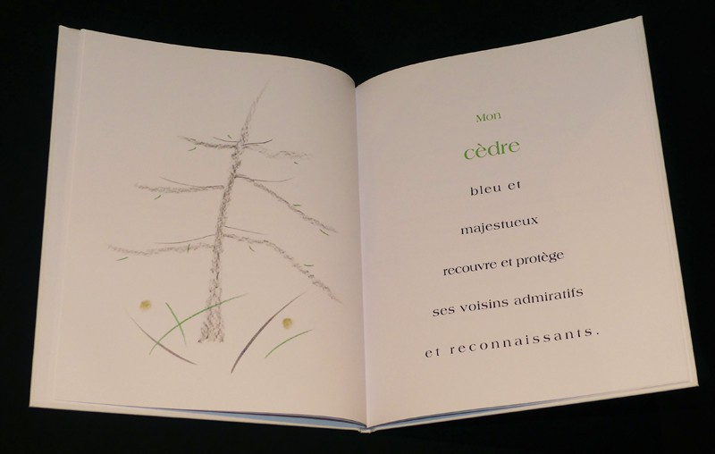 La force tranquile du cèdre