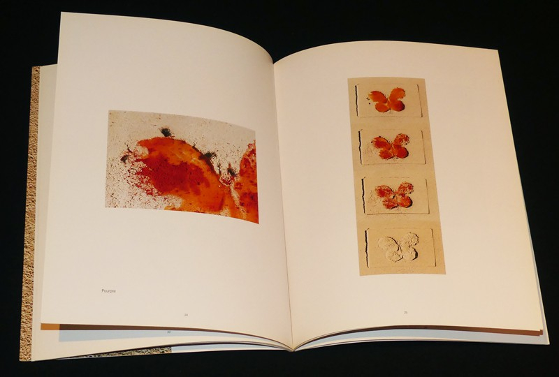 Mémoire de sable (Galerie Natalie Seroussi / Galerie Pascal Lansberg, 16 novembre - 23 décembre 1995)