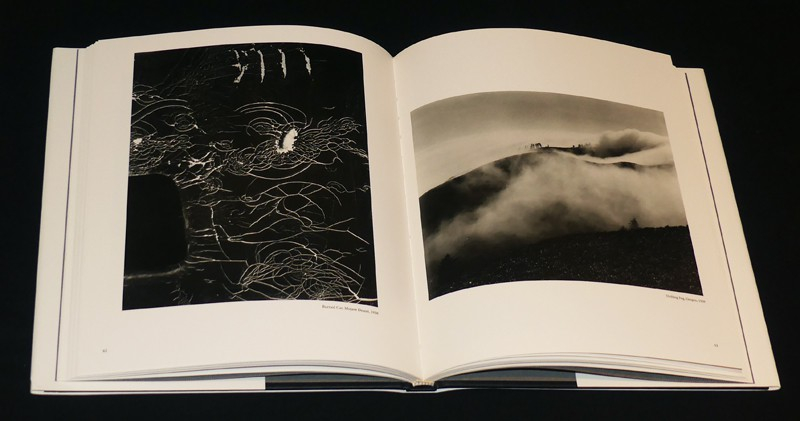 Edward Weston: The Flame of Recognition