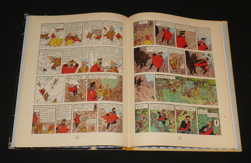 Les Aventures de Tintin : Le Temple du soleil
