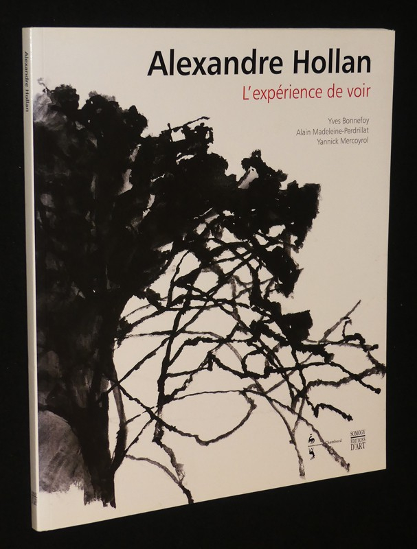 Alexandre Hollan : L'expérience de voir