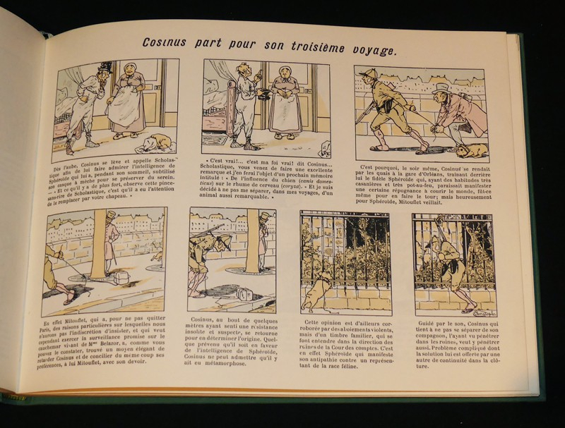 L'Idée fixe du savant Cosinus