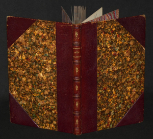 Histoire de la ville et de la seigneurie de La Mirandole jusqu'en 1796, d'après des documents recueillis et traduits de l'italien par H.-S. Pic...