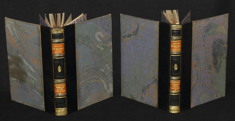 La Comédie Humaine : Etudes analytiques (2 volumes)