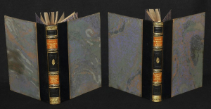 La Comédie Humaine : Etudes analytiques (2 volumes)