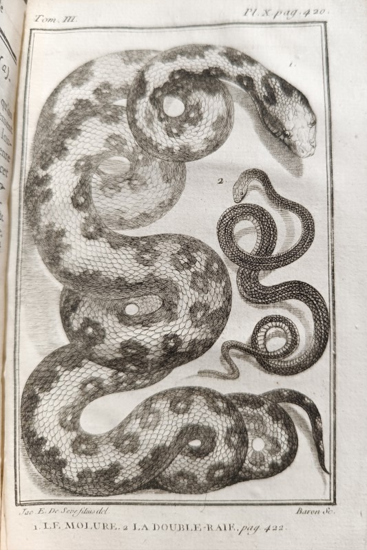 Histoire naturelle des quadrupèdes ovipares et des serpens, par M. le comte de La Cépède