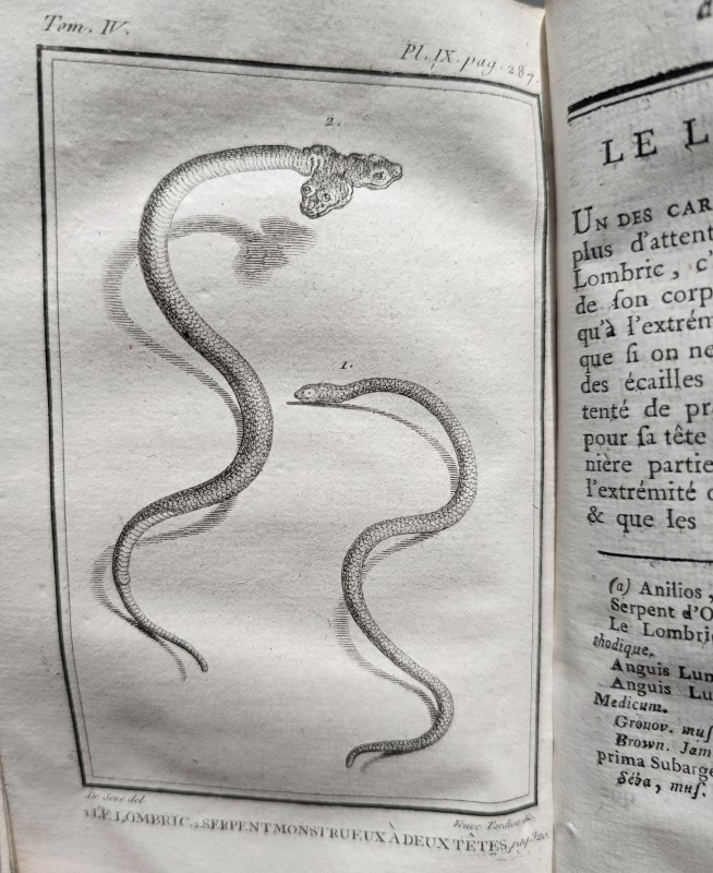 Histoire naturelle des quadrupèdes ovipares et des serpens, par M. le comte de La Cépède