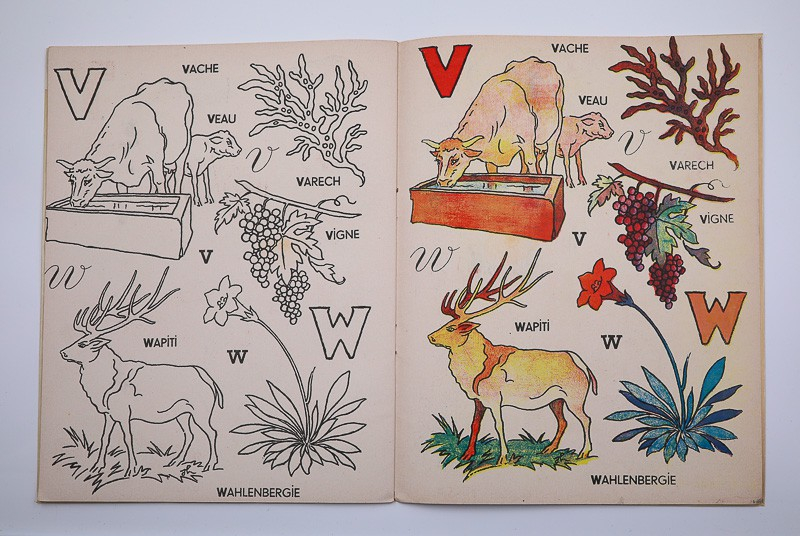 Alphabet à colorier