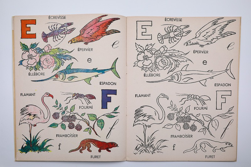 Alphabet à colorier