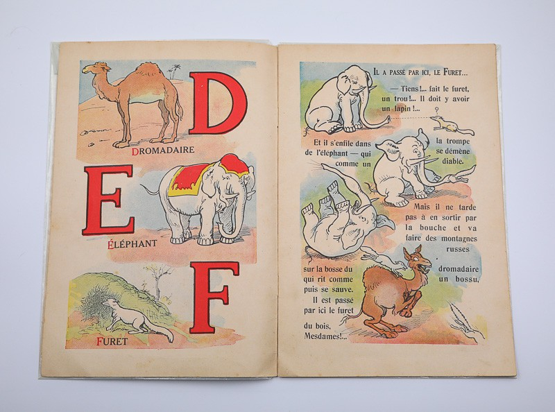 Alphabet des animaux (grosses bêtes)