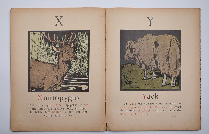 ABCD. La ménagerie de Bébé. Les lettres enseignées par les Bêtes.